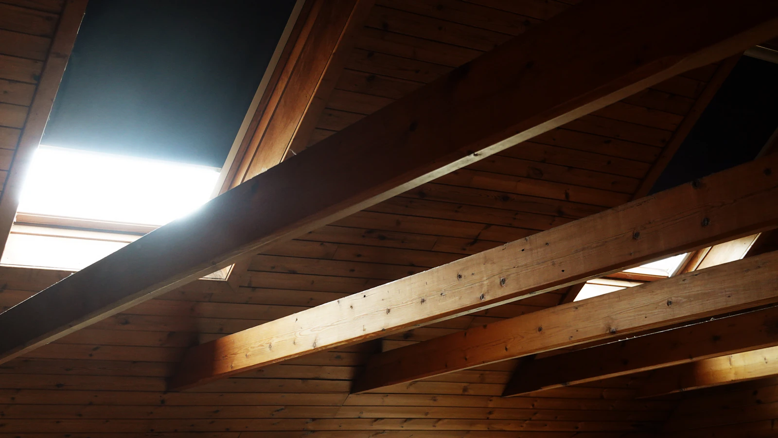 The complete guide to mold remediation