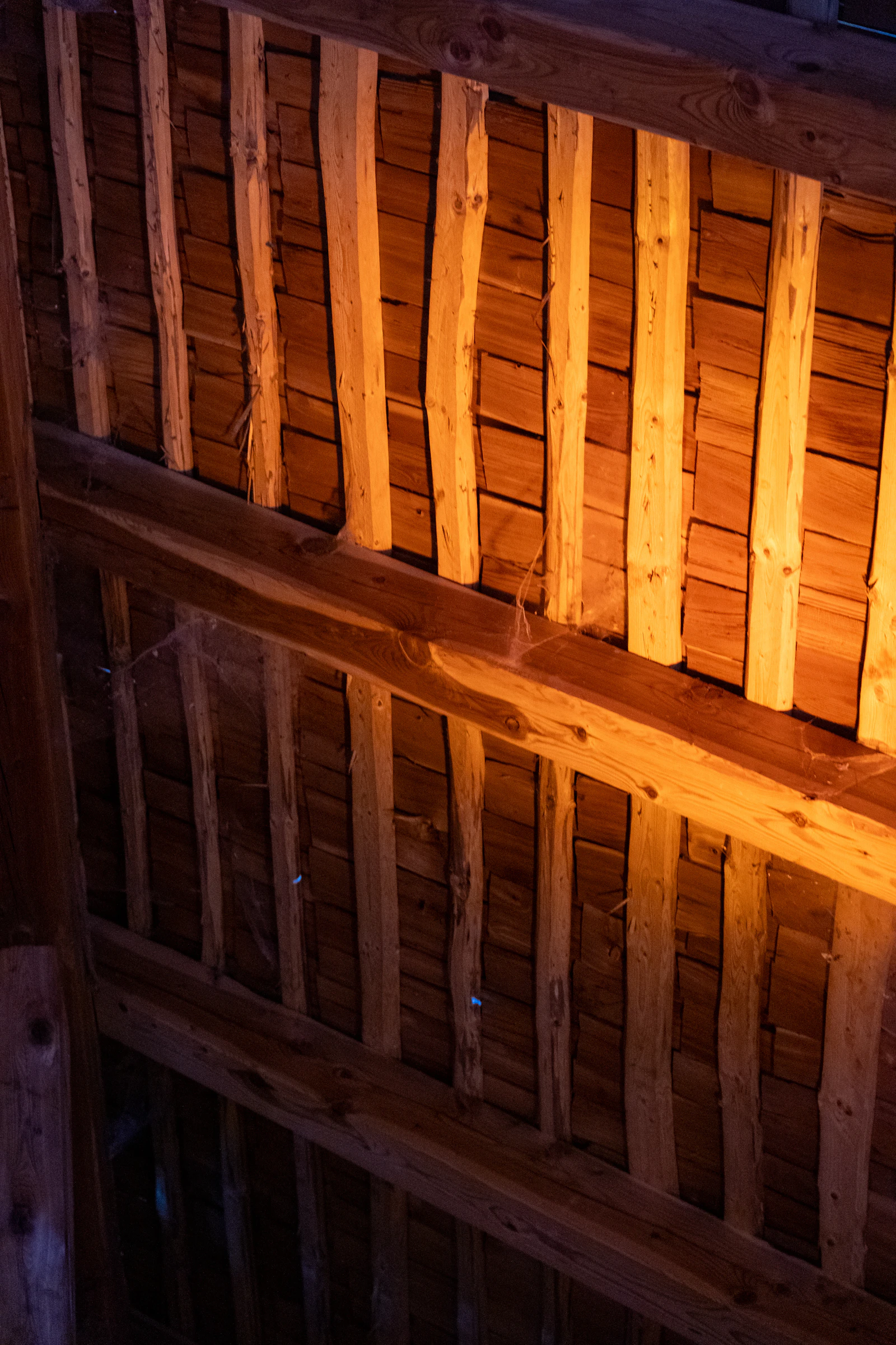 Who is responsible for mold in a rental - the landlord or the tenant?