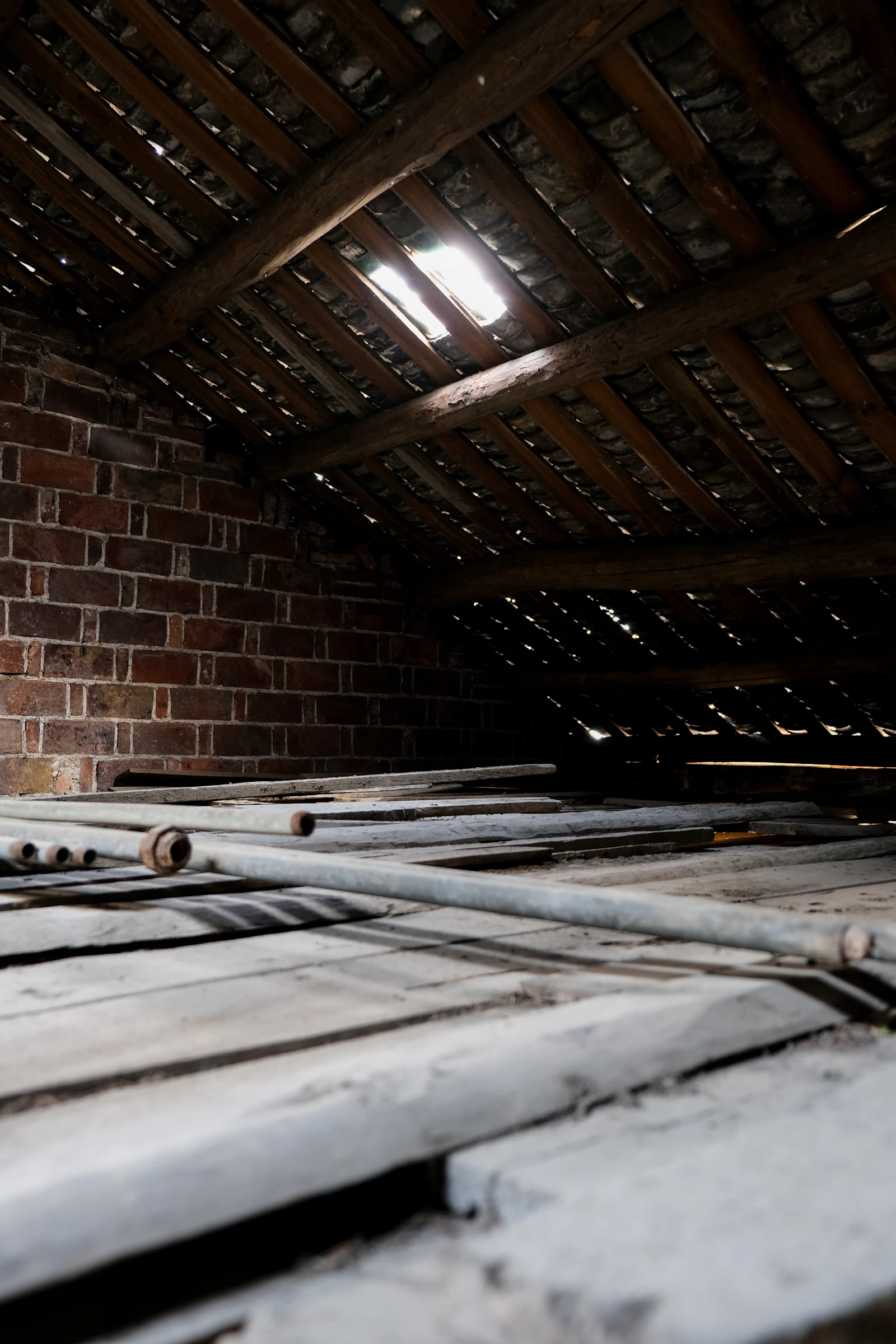 Attics - a place worth checking