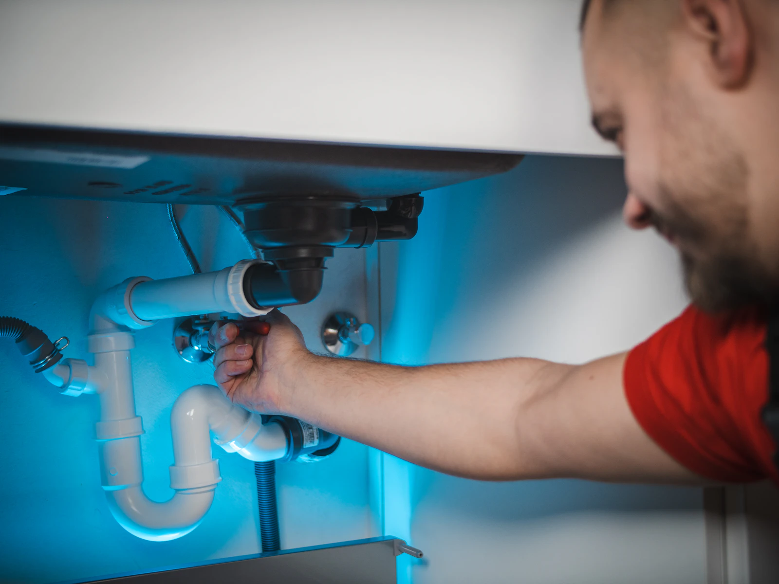 Where does mold actually turn up?
