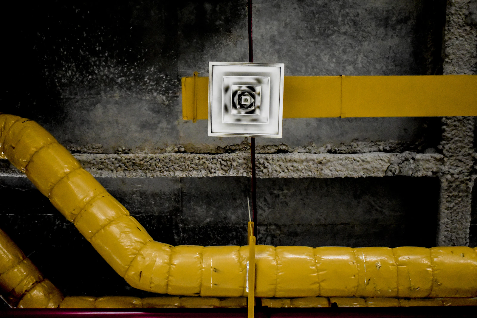What does mold remediation cost?