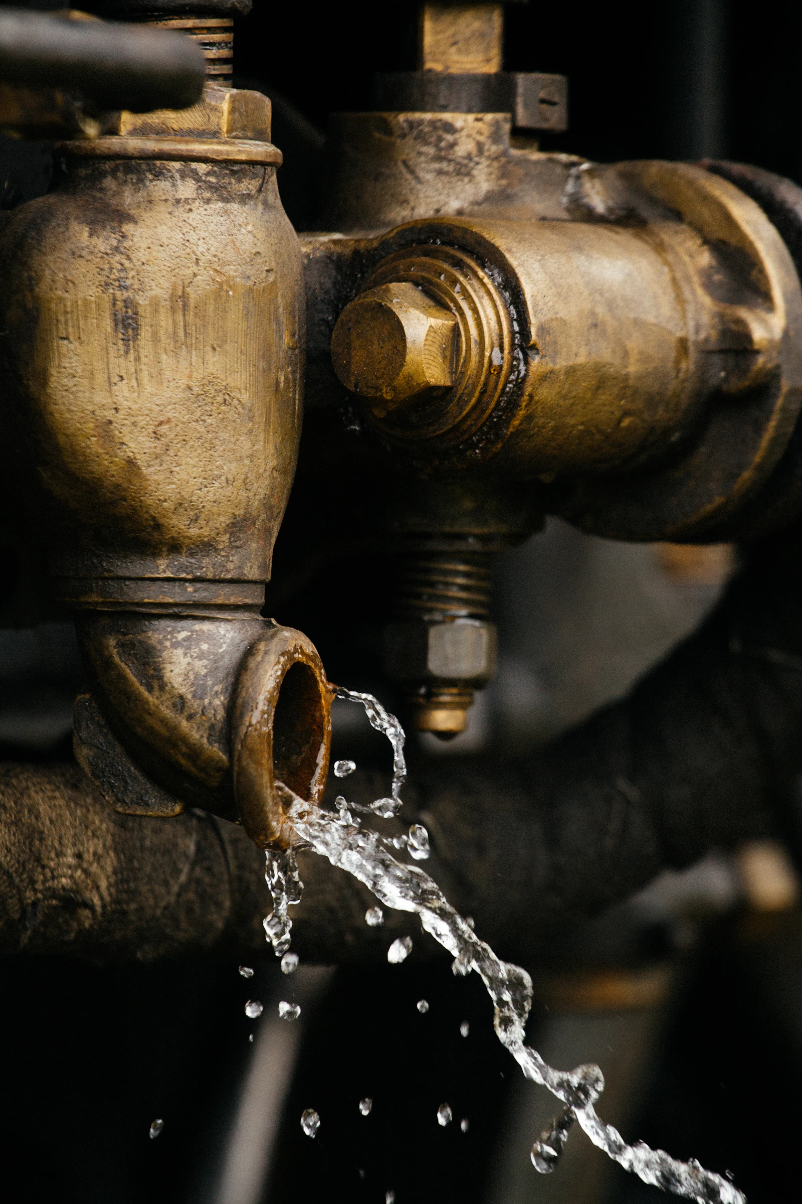 How long does a mold inspection actually take?