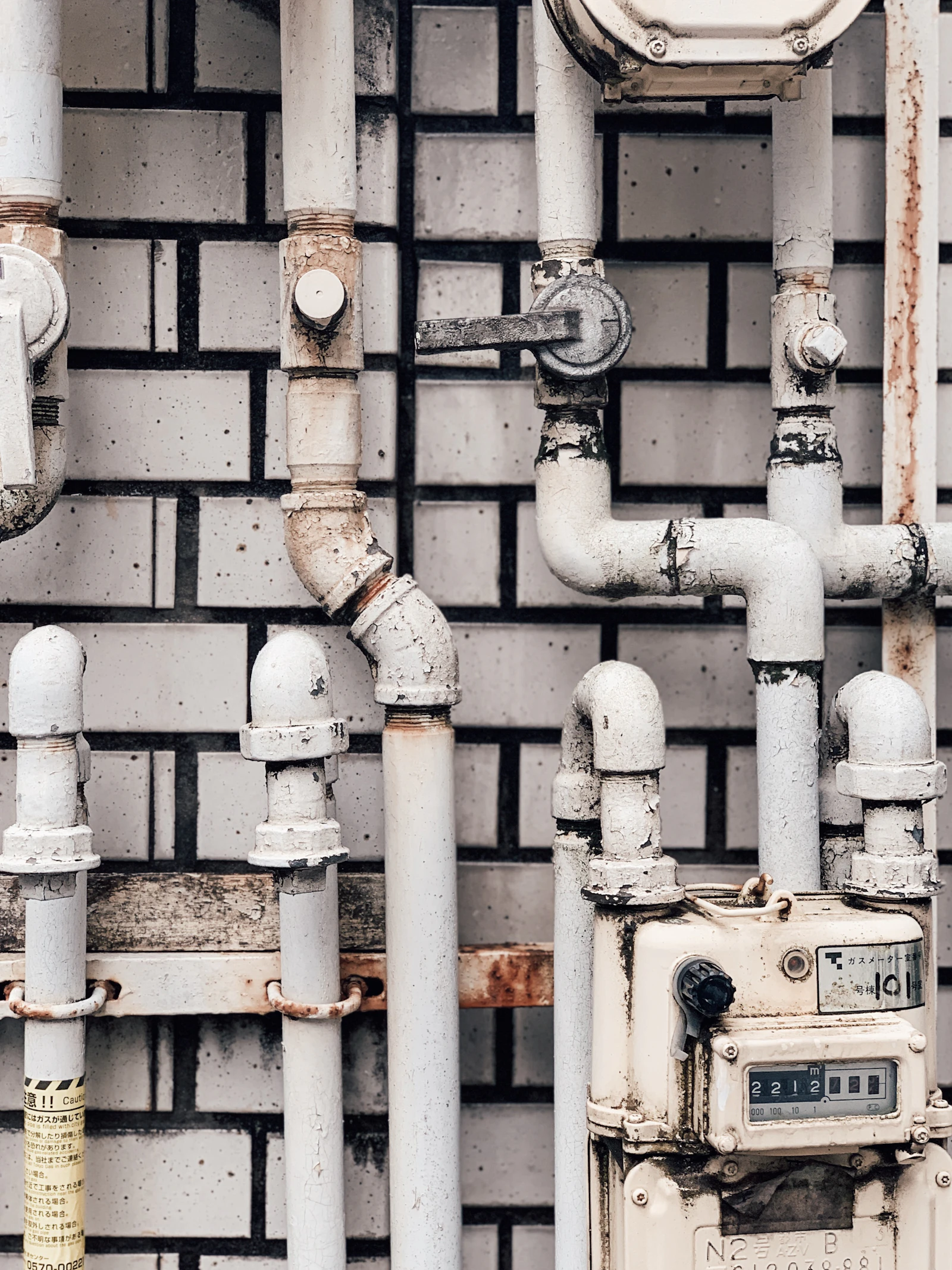 What does a professional mold inspection actually involve?