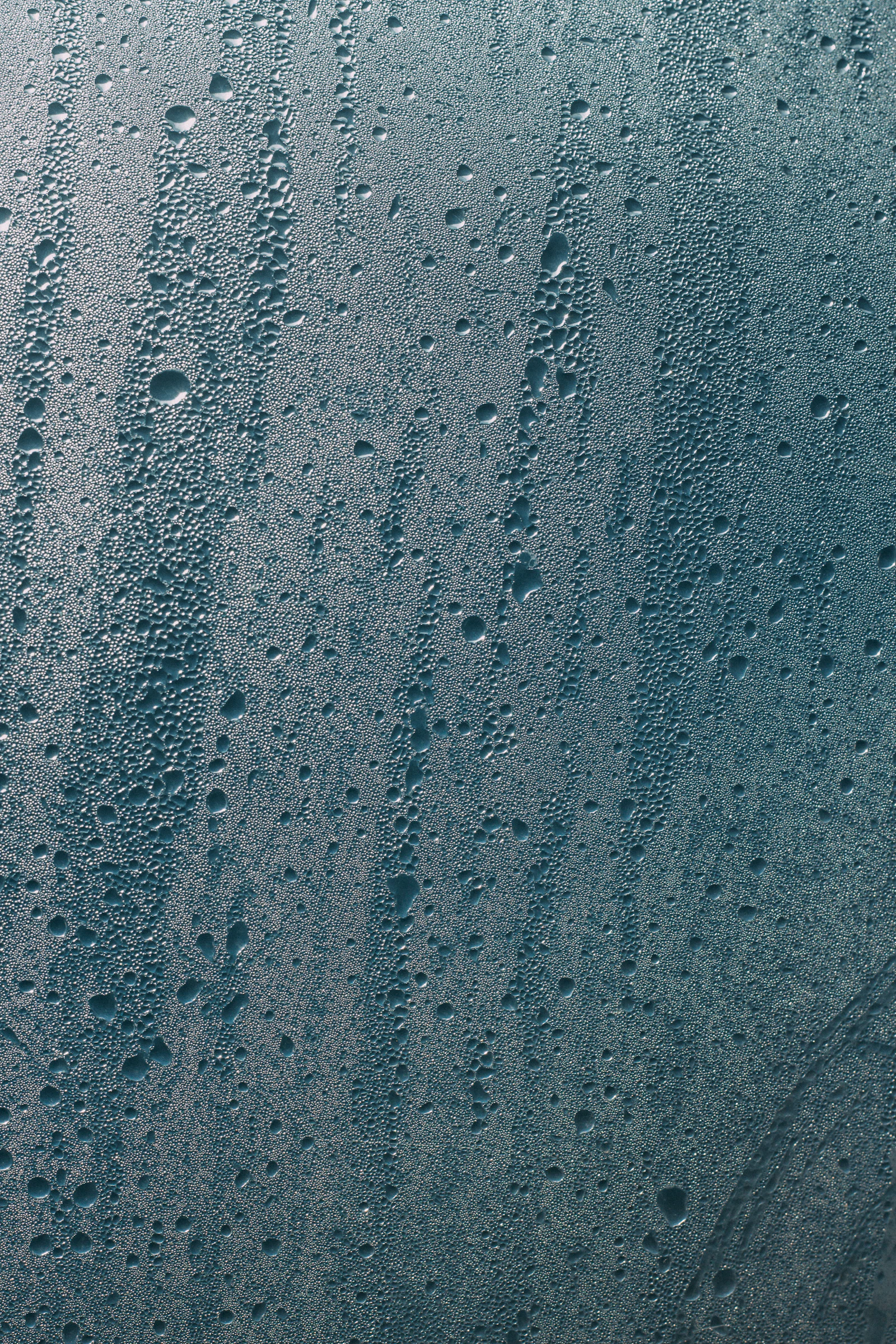 Are black mold's signs different from other mold?